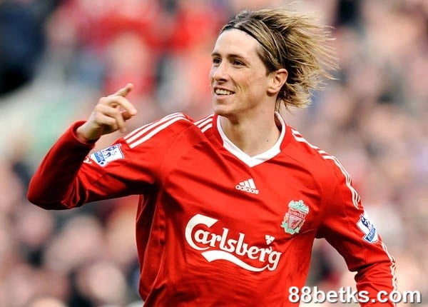 Fernando Torres - Spain