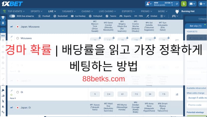 경마 확률 | 배당률을 읽고 가장 정확하게 베팅하는 방법