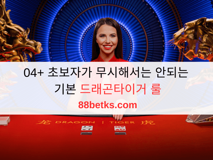 04+ 초보자가 무시해서는 안되는 기본 드래곤타이거 룰