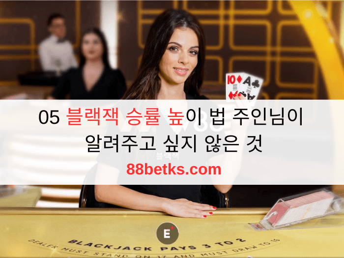 05 블랙잭 승률 높이 법 주인님이 알려주고 싶지 않은 것