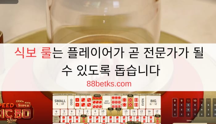 식보 룰는 플레이어가 곧 전문가가 될 수 있도록 돕습니다