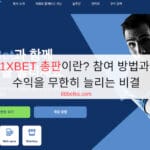 1XBET 총판이란? 참여 방법과 수익을 무한히 늘리는 비결