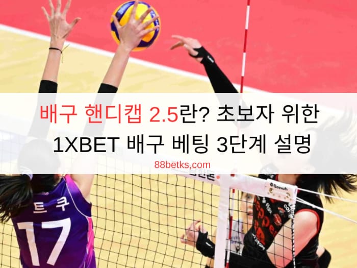 배구 핸디캡 2.5란? 초보자 위한 1XBET 배구 베팅 3단계 설명